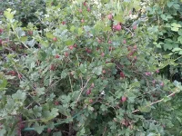 20210720_084630.webp