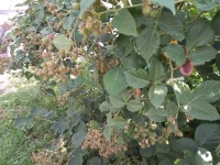 20210720_084654.webp