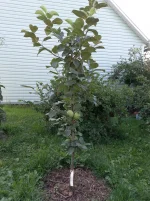 20210720_084608.webp