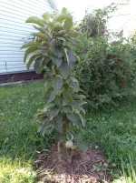 20210720_084555.webp