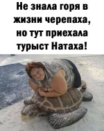 IMG-940917f7f58a77fba306e271707f2285-V.webp