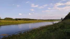 IMG-20210724-WA0002.webp
