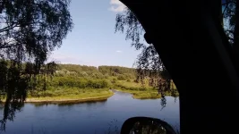 IMG-20210724-WA0001.webp