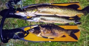 IMG_20210810_011216_0~2.webp
