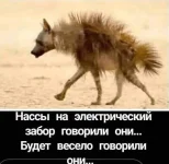 895cf4e1a8f8.webp