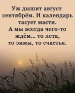 FB_IMG_1629141461311.webp