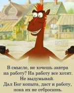 FB_IMG_1629198804659.webp