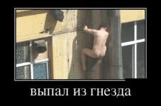 24 (19).webp