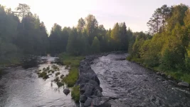 IMG-20210811-WA0007.webp