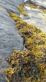 IMG-20210824-WA0002.webp
