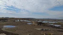 IMG-20210824-WA0003.webp