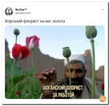 15 (64).webp