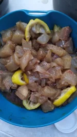 IMG-20210827-WA0021.webp