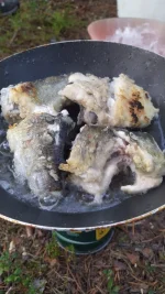 IMG-20210827-WA0018.webp
