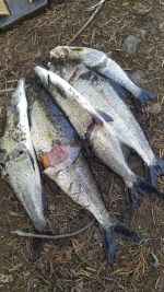 IMG-20210827-WA0017.webp