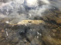 IMG-20210828-WA0000.webp