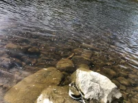 IMG-20210828-WA0005.webp