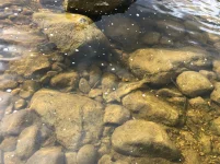 IMG-20210828-WA0002.webp