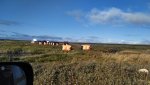 IMG-20210828-WA0011.jpg