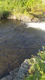 IMG-20210828-WA0014.webp