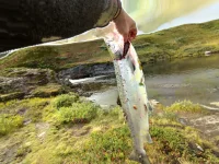 IMG-20210829-WA0004.webp