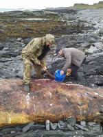 IMG-20210829-WA0017.webp
