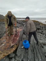IMG-20210829-WA0014.webp