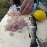 IMG-20210827-WA0020.webp