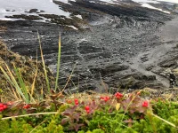 IMG-20210904-WA0098.webp