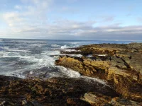 IMG-20210905-WA0031.webp