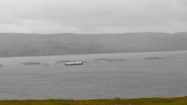 IMG-20210905-WA0060.webp