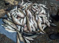 IMG-20210905-WA0083.webp