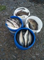 IMG-20210905-WA0080.webp