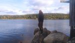 IMG-20210905-WA0056.jpg
