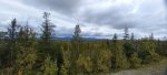 20210904_151830.jpg