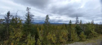 20210904_151830.webp