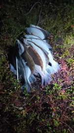 IMG-20210906-WA0002.webp