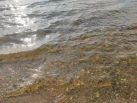IMG_20210911_151146.webp