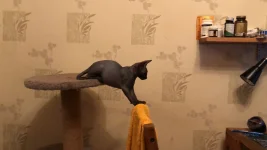 IMG-20210914-WA0002.webp