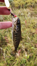 IMG-20210916-WA0034.webp