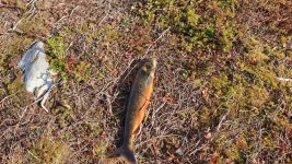 IMG-20210916-WA0026.webp