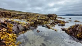 IMG-20210916-WA0009.webp