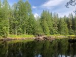 IMG-20210915-WA0017.jpg