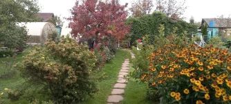 20210917_114504.webp
