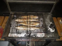 20210919_200432.webp
