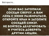 E3031848-268A-4516-A810-044BD30C04A2.webp