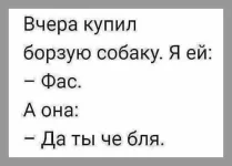 IMG-98ec7a3b7f0237721cf725d348405ce6-V.webp