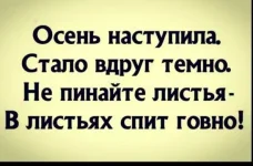 139321_original.webp