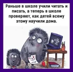 1 IMG-231d7f89dea2cb7b9eb3431f19ce6fd3-V.webp