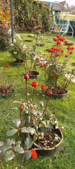 20211006_102601.webp